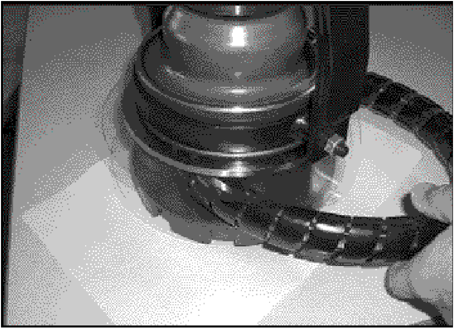 520065657_graphic-text248